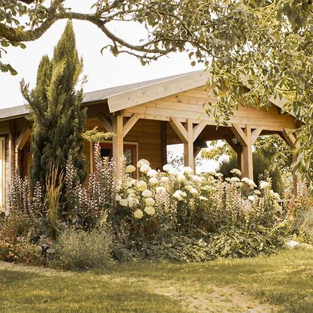 Chalet Ben In Broek Benningbroek エクステリア 写真