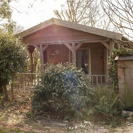 Chalet Ben In Broek Benningbroek エクステリア 写真