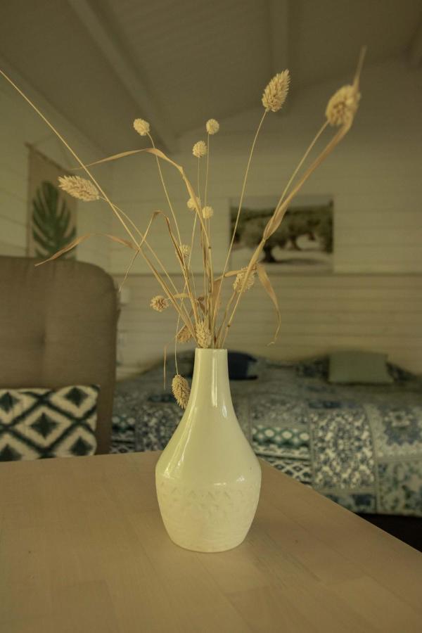 Chalet Ben In Broek Benningbroek エクステリア 写真