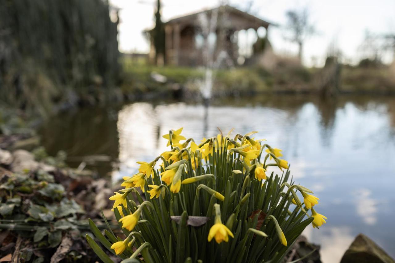 Chalet Ben In Broek Benningbroek エクステリア 写真